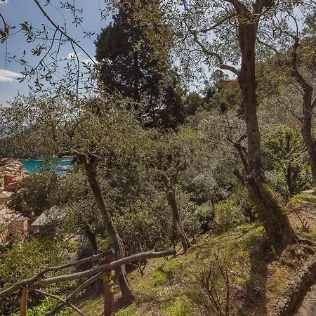 Monte Di - What'app - #0049-1551-0648-086 Per Prenotazioni Tatil Evi Portofino
